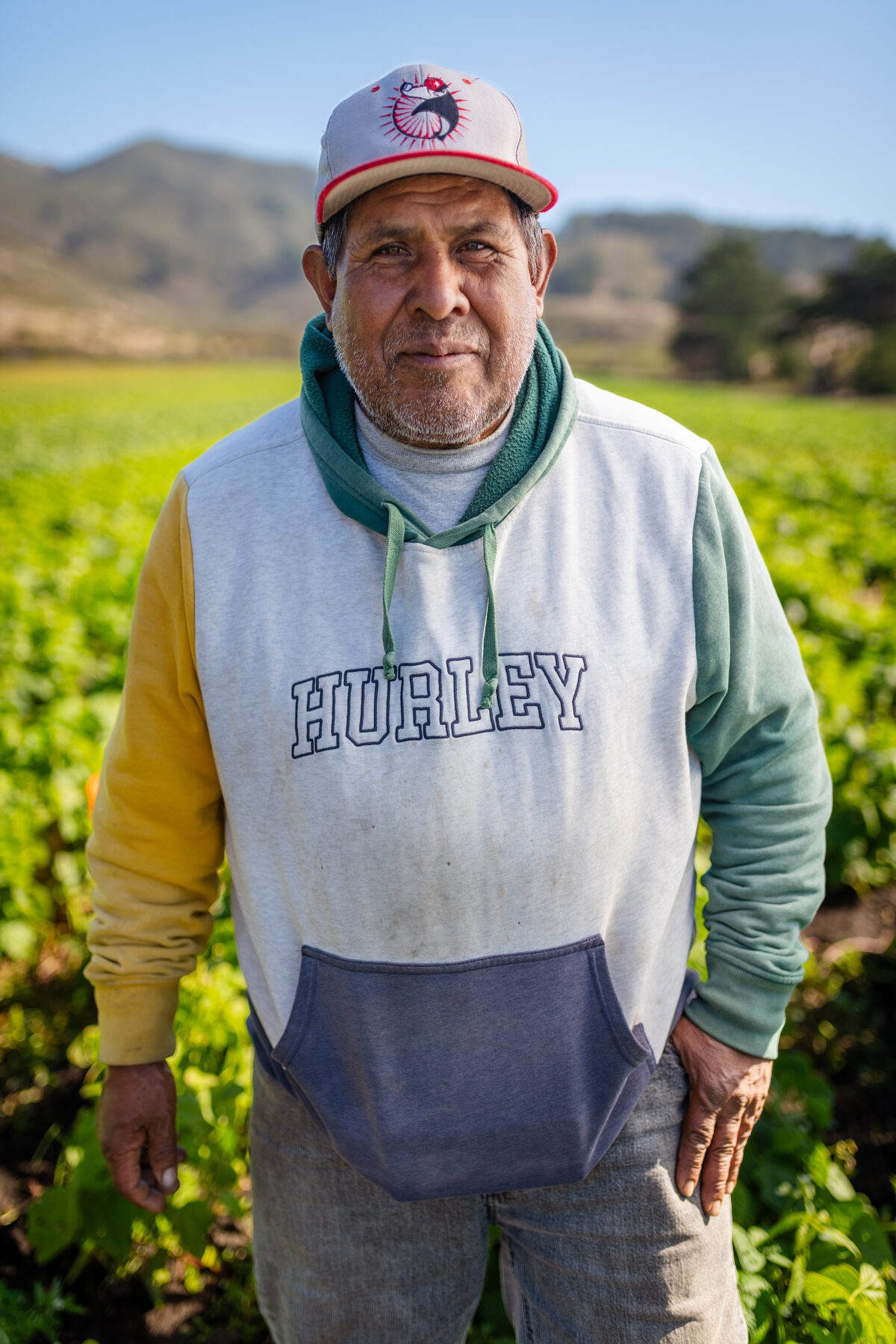 Senior farmworker portrait with the fields behind him